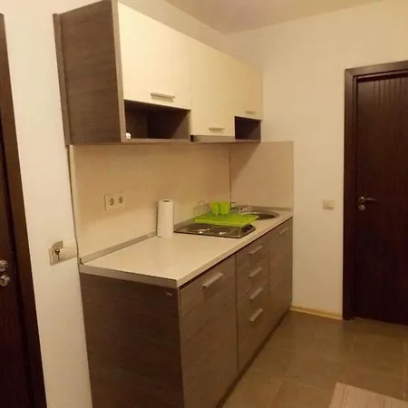 Mountain Paradise Emineki's Studio Apartment Bansko