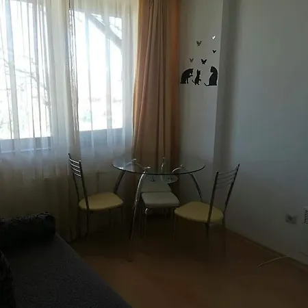 Mountain Paradise Emineki's Studio Apartment Bansko
